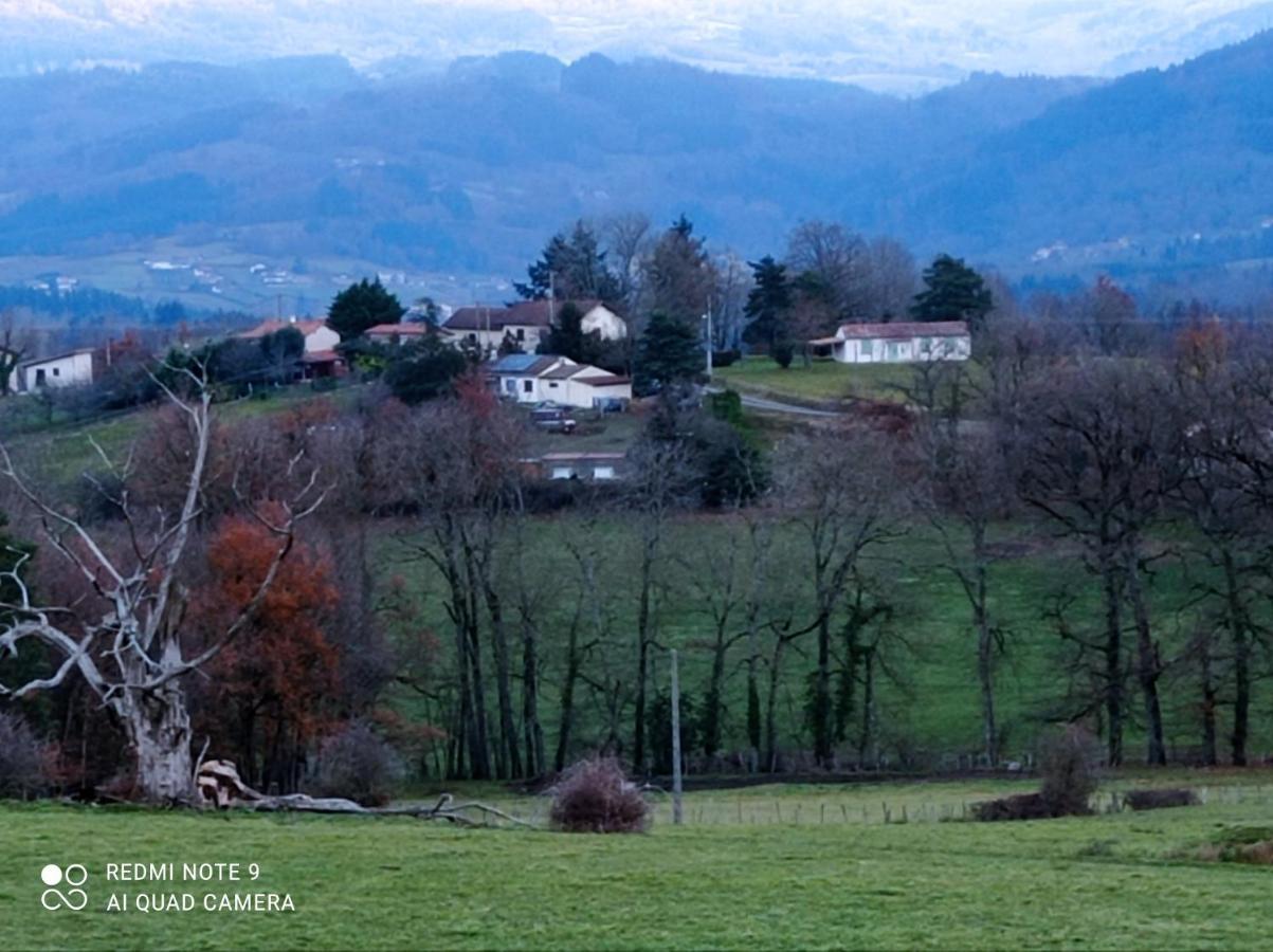L'Eclat De Menthe Daire Augerolles Dış mekan fotoğraf