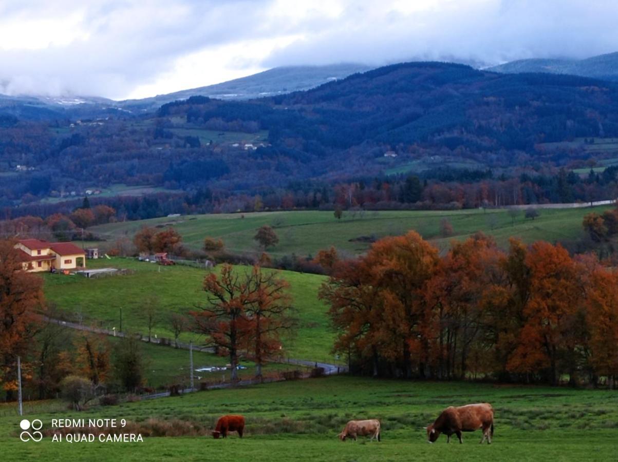 L'Eclat De Menthe Daire Augerolles Dış mekan fotoğraf