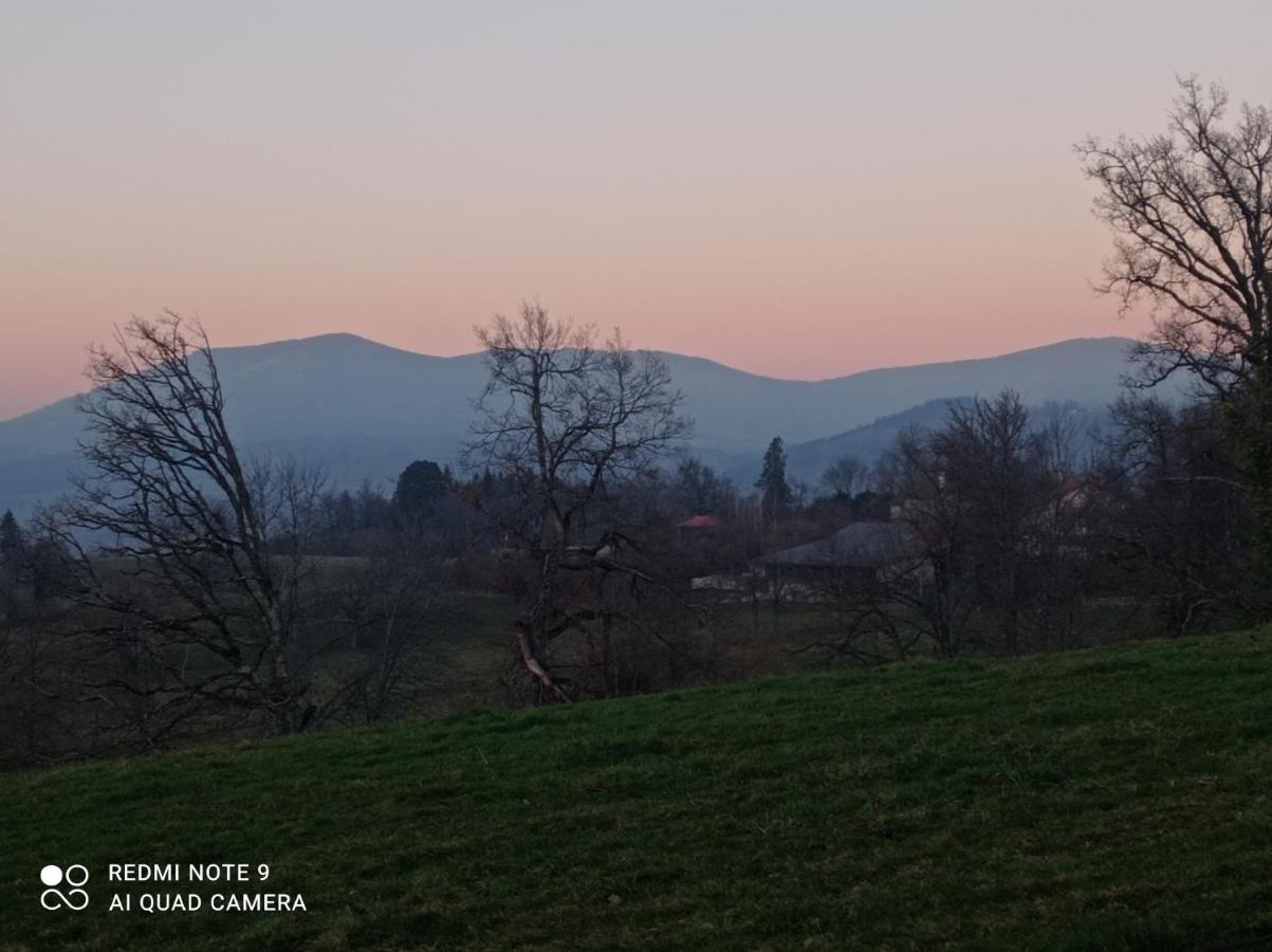 L'Eclat De Menthe Daire Augerolles Dış mekan fotoğraf