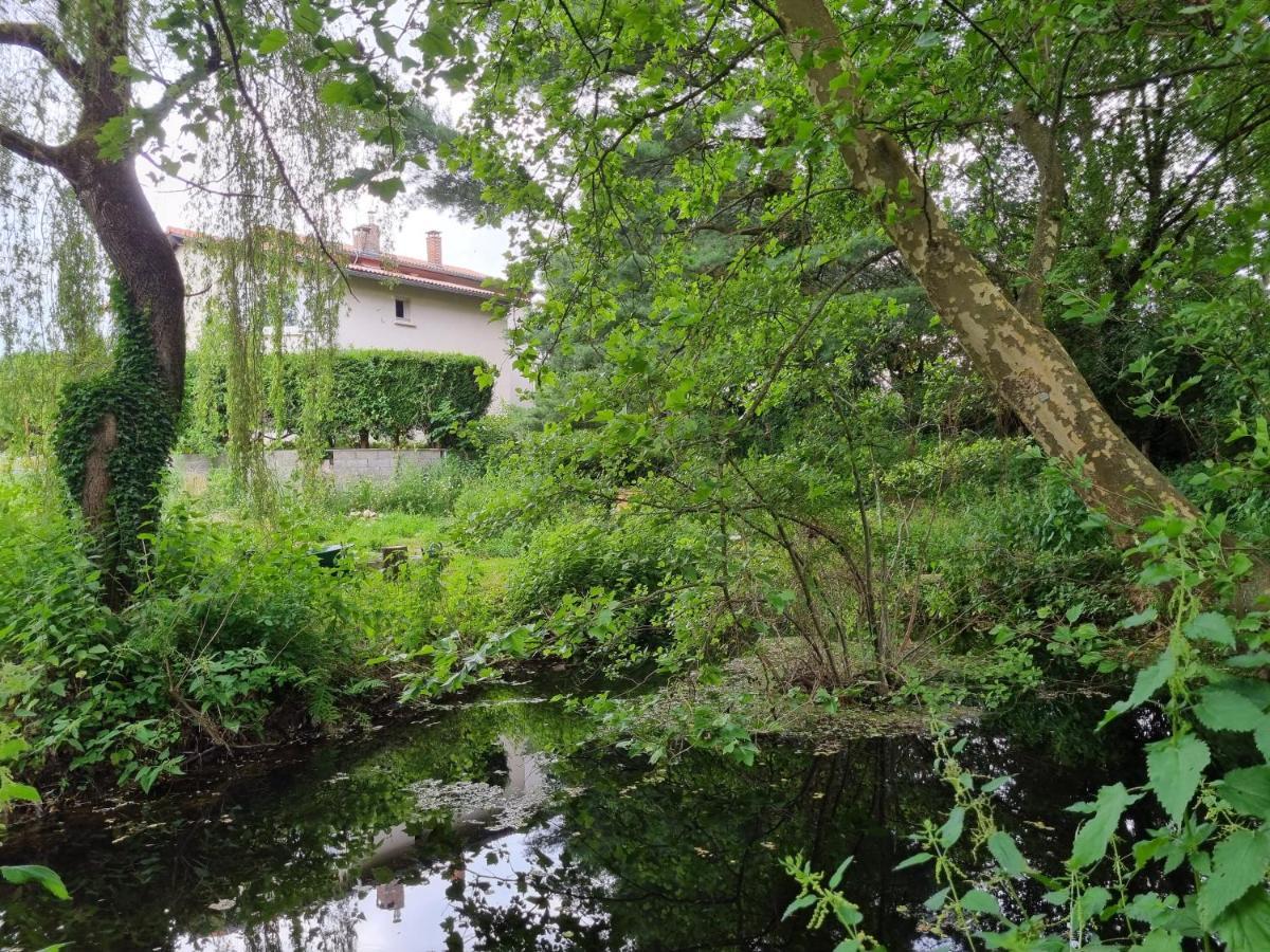 L'Eclat De Menthe Daire Augerolles Dış mekan fotoğraf